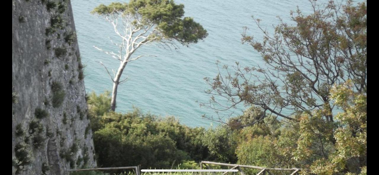 Villa Pineta サン・メナイオ エクステリア 写真